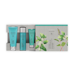 ARTISTRY SKIN NUTRITION Firming Mini-Set