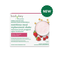 BodyKey by Nutrilite Nutritious Meal Shake (Berry)