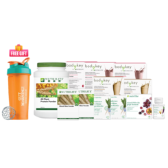 Healthy Weight Solution - Meal Replacement & Gut Health