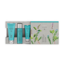 ARTISTRY SKIN NUTRITION Renewing Mini-Set